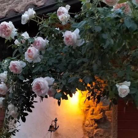 Ca'de Picchio Apartment Arezzo