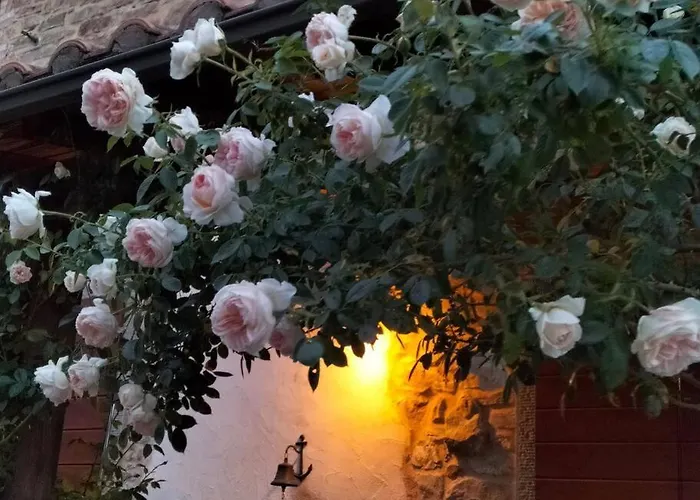 Ca'de Picchio Apartamento Arezzo